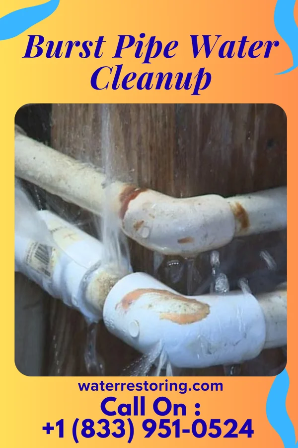 Burst Pipe Water Cleanup in Bull Creek, MO
