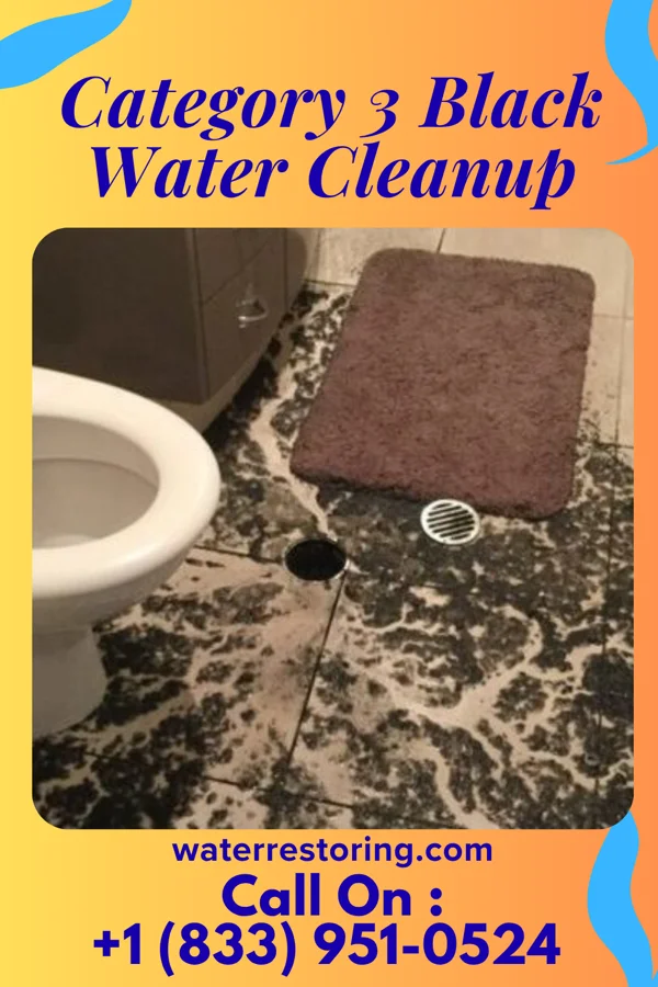 Category 3 Black Water Cleanup in Bull Creek, MO